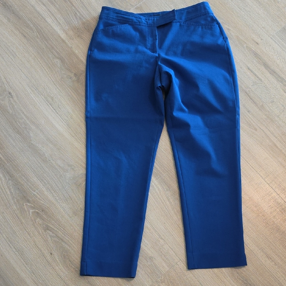 Talbots Rpyal Blue Chinos